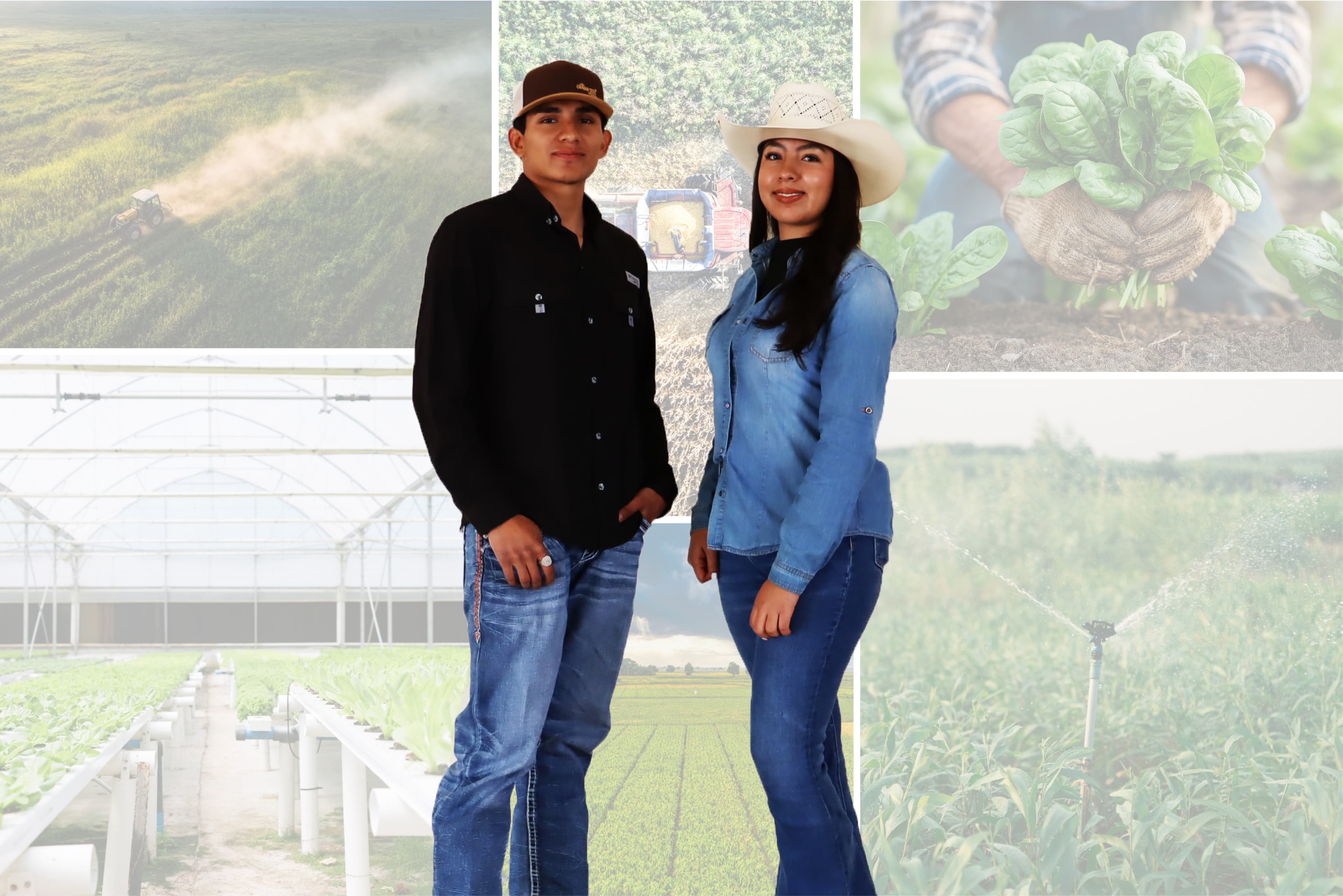 Licenciatura en Ingeniería en Agricultura Sustentable y Protegida 