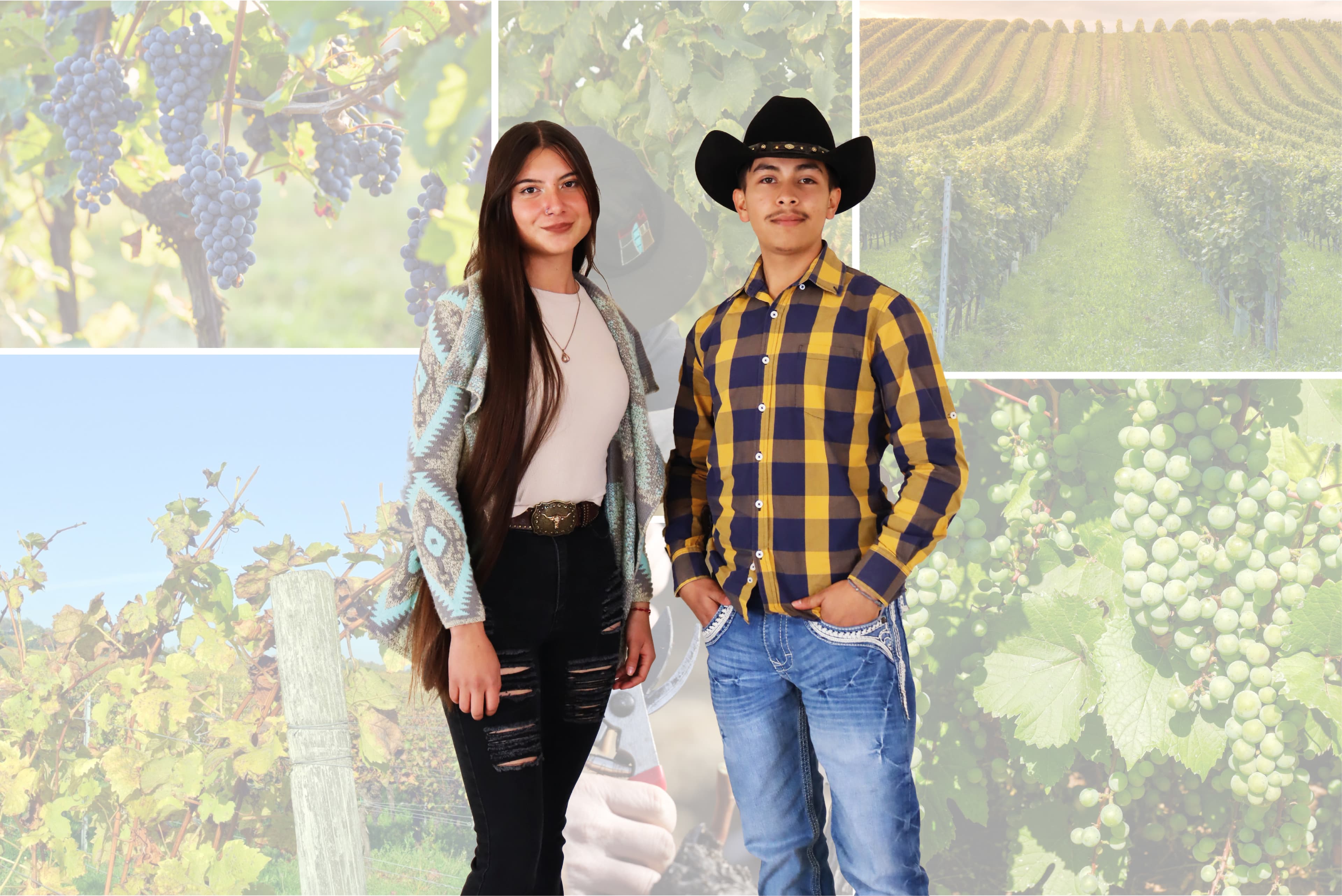 TSU en Agricultura Sustentable y Protegida en Vitivinicultura